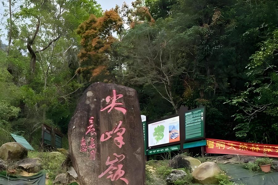 Hainan Island Jianfengling Tropical Rainforest National Park Travel Guide & Day Tour Package
