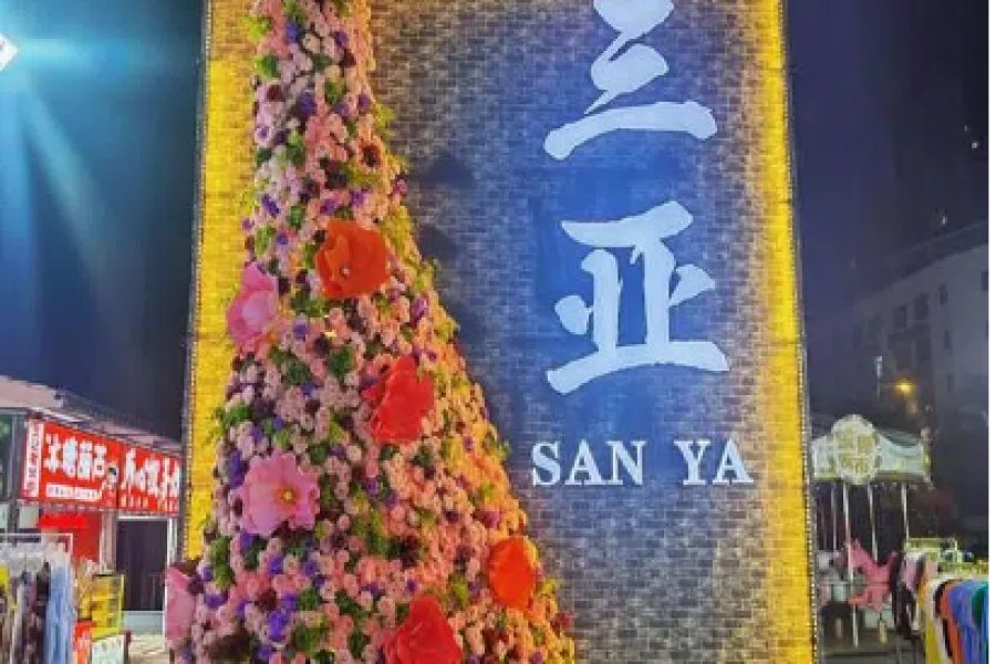 Half Day Tour to Sanya Yalong Bay Beach with Visit to Sanya Local Market